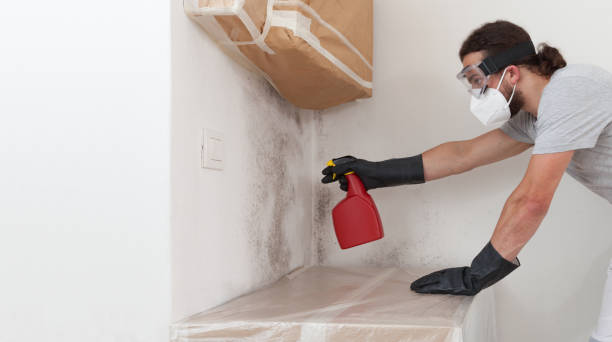 Professional Mold Testing technician working in Rochelle Park, NJ